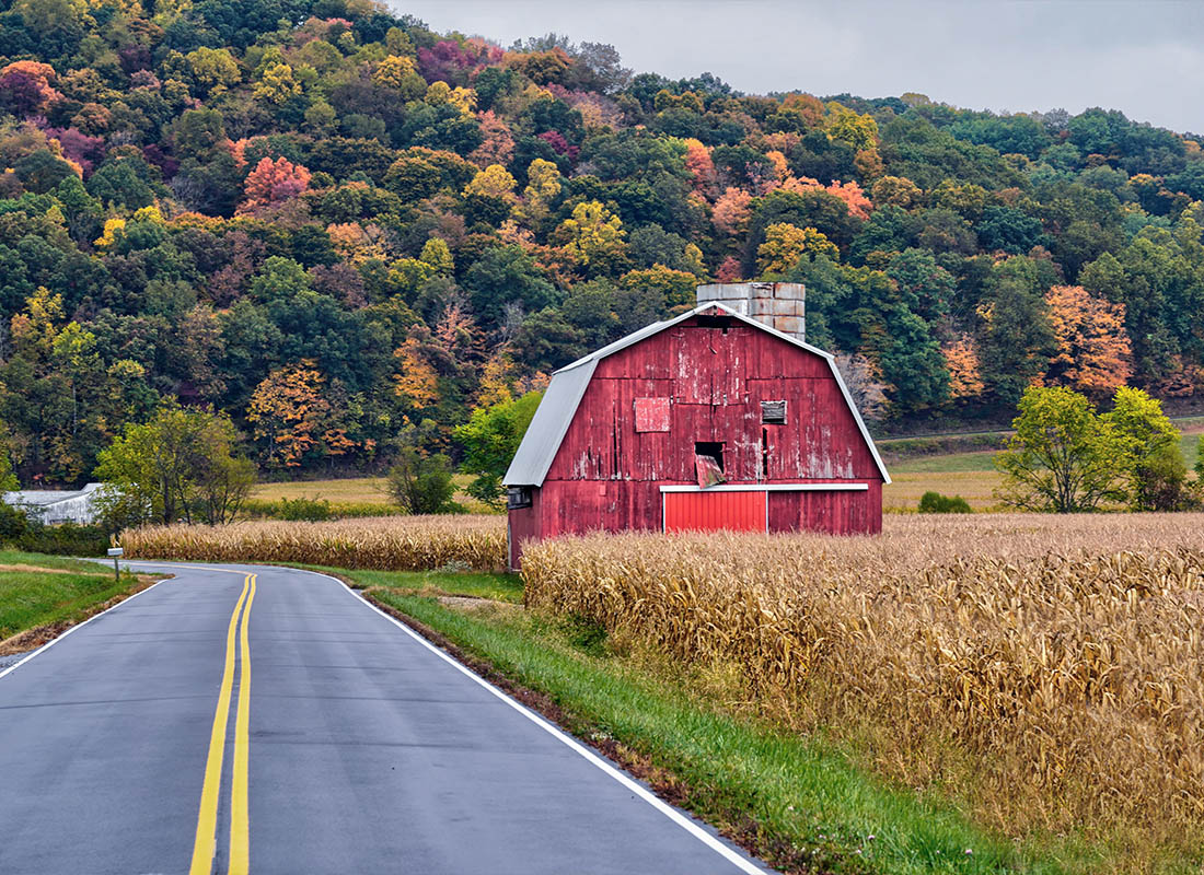 Contact - A Shot of a Red Barn Beside a Road in Ohio During the Month of October