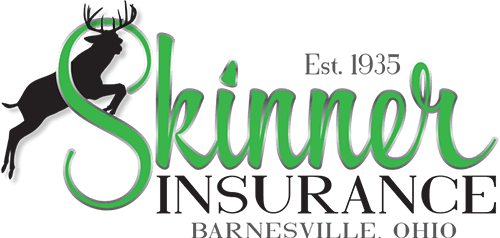 W.D. Skinner & Son Insurance Agency, Inc.